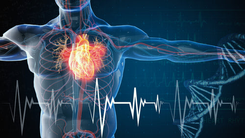 Protecting Your Heart with Proprietary Blend and HeartHealth