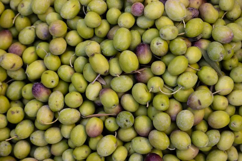 10 Ways Olive-Based Supplements Enhance Healthy Living