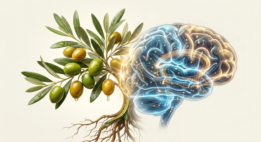 A visual metaphor showing olive branches and fruit transitioning into glowing neural pathways, symbolizing the gut-brain connection supported by olive polyphenols.