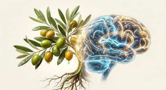 A visual metaphor showing olive branches and fruit transitioning into glowing neural pathways, symbolizing the gut-brain connection supported by olive polyphenols.