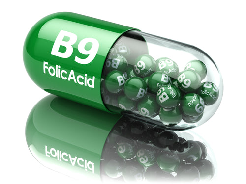 Folate and Folic Acid Supplementation